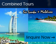 Combined Tours